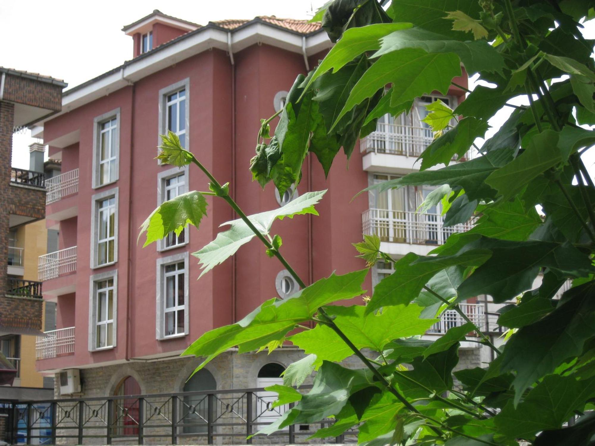 Los Acebos Cangas Cangas de Onis Ngoại thất bức ảnh