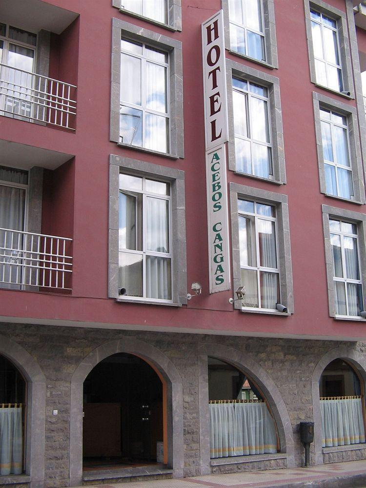 Los Acebos Cangas Cangas de Onis Ngoại thất bức ảnh