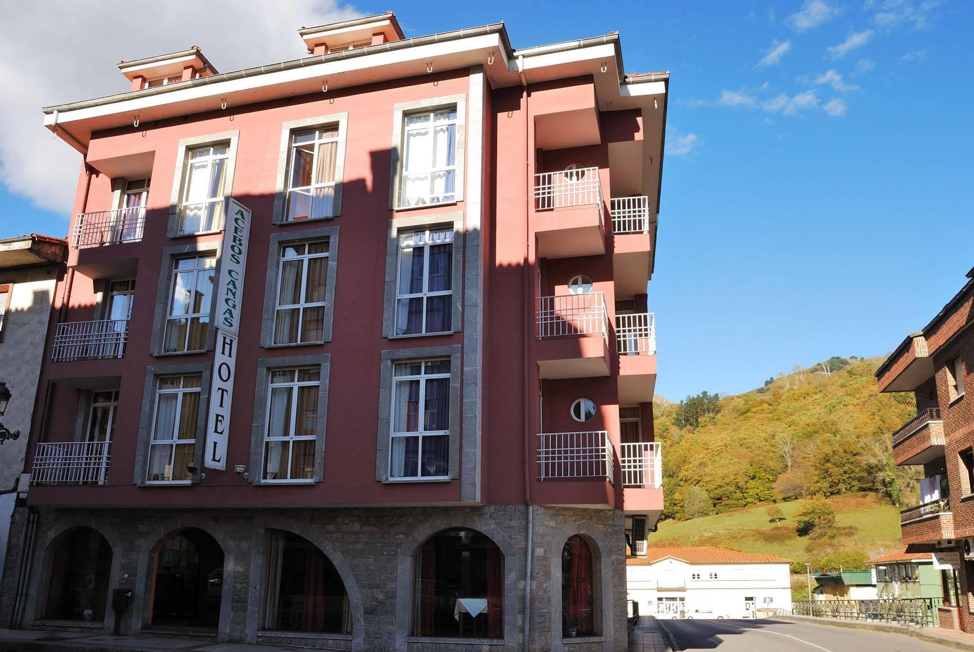Los Acebos Cangas Cangas de Onis Ngoại thất bức ảnh